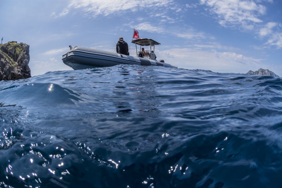 Sorrento: Snorkeling morning tour with a Marine Biologist. - Boat and group size: why small groups help in the water