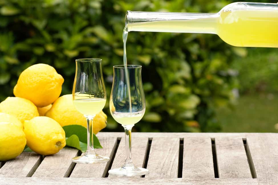 SORRENTO: Sunset Limoncello Making After-Dinner Experience - The lemon garden at sunset: where the mood does half the work