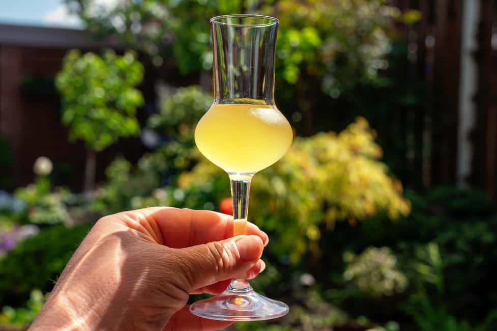 SORRENTO: Sunset Limoncello Making After-Dinner Experience - Who this is best for (and who should skip it)