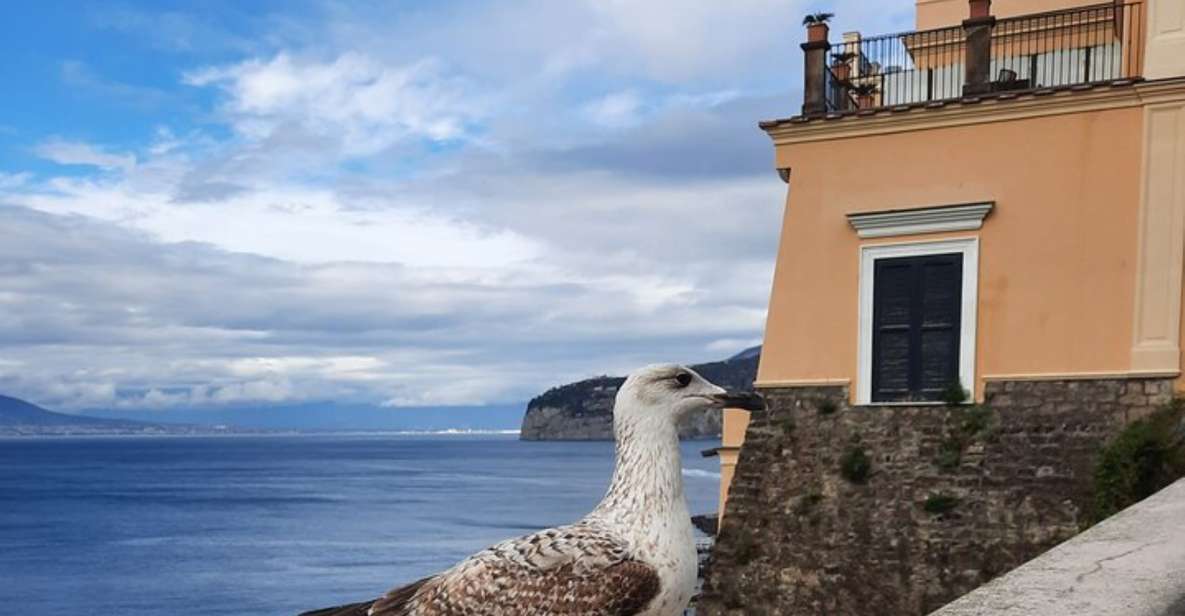 Sorrento: walking in the Grand Tour with stunning landscapes - Key highlights worth getting excited about