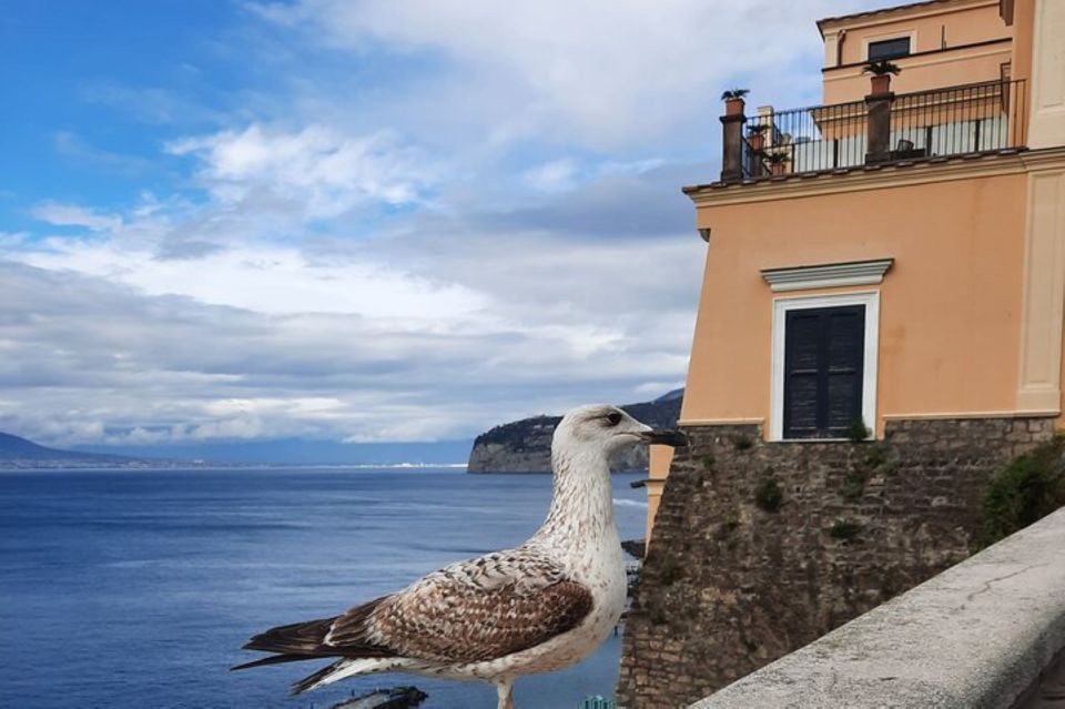 Sorrento: walking in the Grand Tour with stunning landscapes - Limoncello at Giardini di Cataldo: the taste of tradition