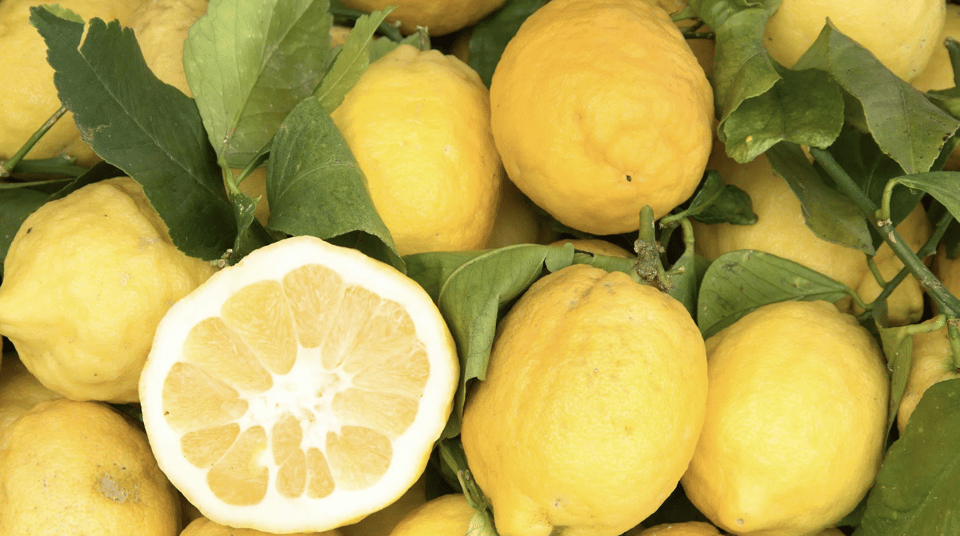 Sorrento: Walking Tour in Lemon Garden w/ Food Tasting - Meeting at Vallone dei Mulini and Getting Up the Hills
