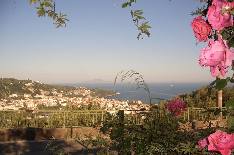 Sorrento: Walking Tour in Lemon Garden w/ Food Tasting - Mozzarella Demonstration: The Show Within the Tour