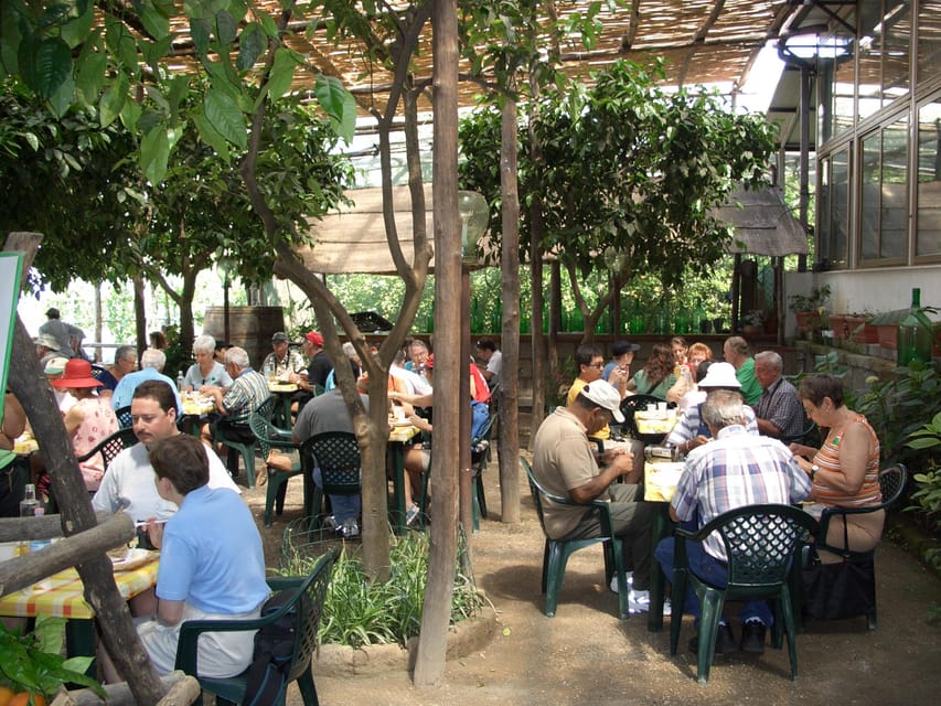 Sorrento: Walking Tour in Lemon Garden w/ Food Tasting - The Lunch-Style Cheese and Tomato Plate: What’s Included