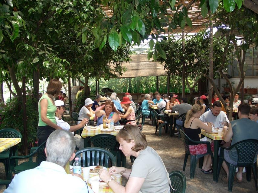 Sorrento: Walking Tour in Lemon Garden w/ Food Tasting - Who This Tour Fits Best (and Who Should Think Twice)
