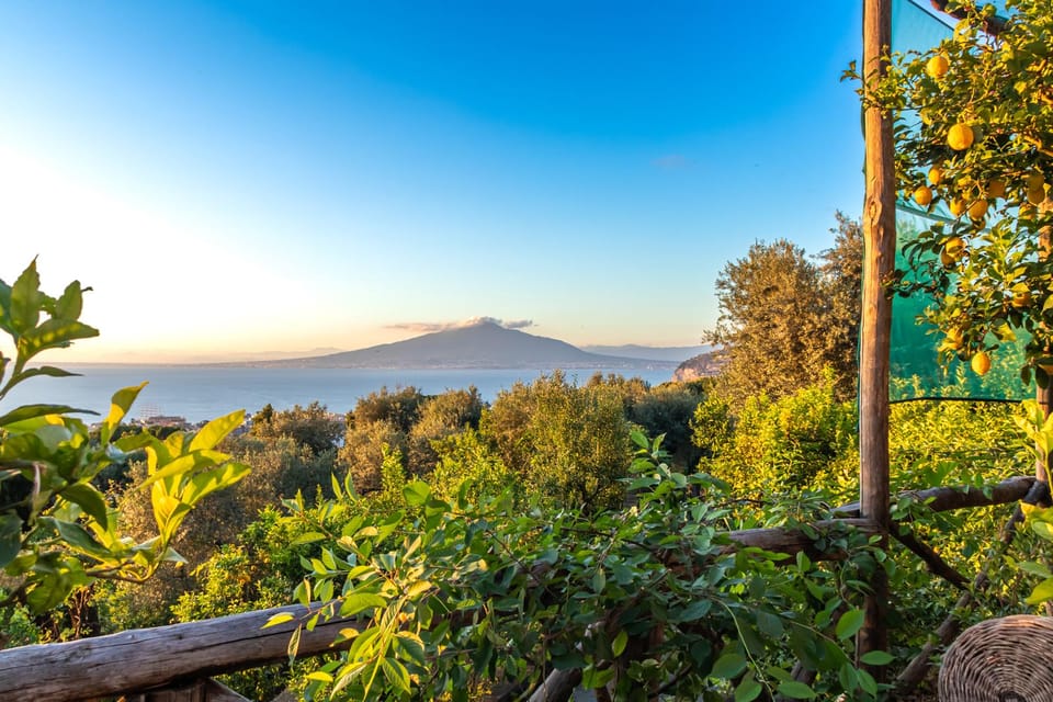 Sorrento: Wine Tasting Overlooking the Sea in a Lemon Grove - Who should book this Sorrento coast wine tasting
