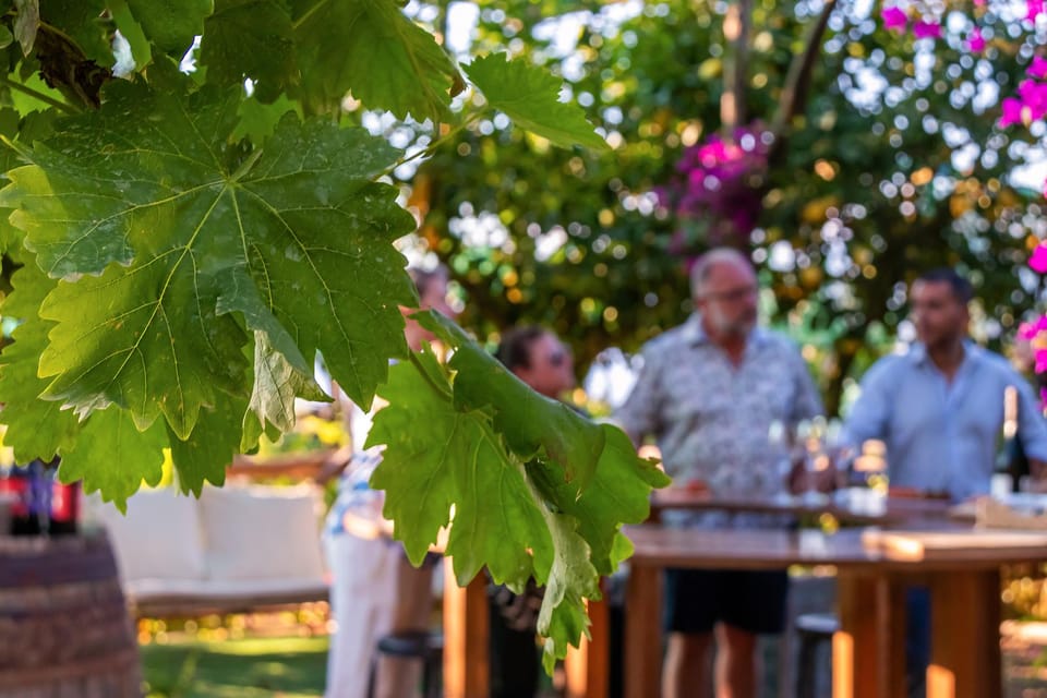 Sorrento: Wine Tasting Overlooking the Sea in a Lemon Grove - Getting to the hills: Vallone dei Mulini pickup that actually helps