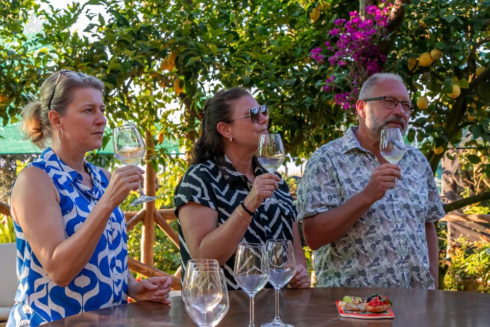 Sorrento: Wine Tasting Overlooking the Sea in a Lemon Grove - Via Casarlano 30: rustic farmhouse vibes in a garden setting