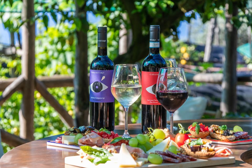 Sorrento: Wine Tasting Overlooking the Sea in a Lemon Grove - The wines and local pairings: how the guide makes it click