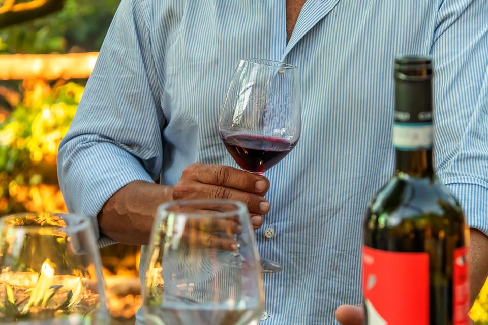 Sorrento: Wine Tasting Overlooking the Sea in a Lemon Grove - Your guide is the difference: Louisa (Lulu) and the human touch