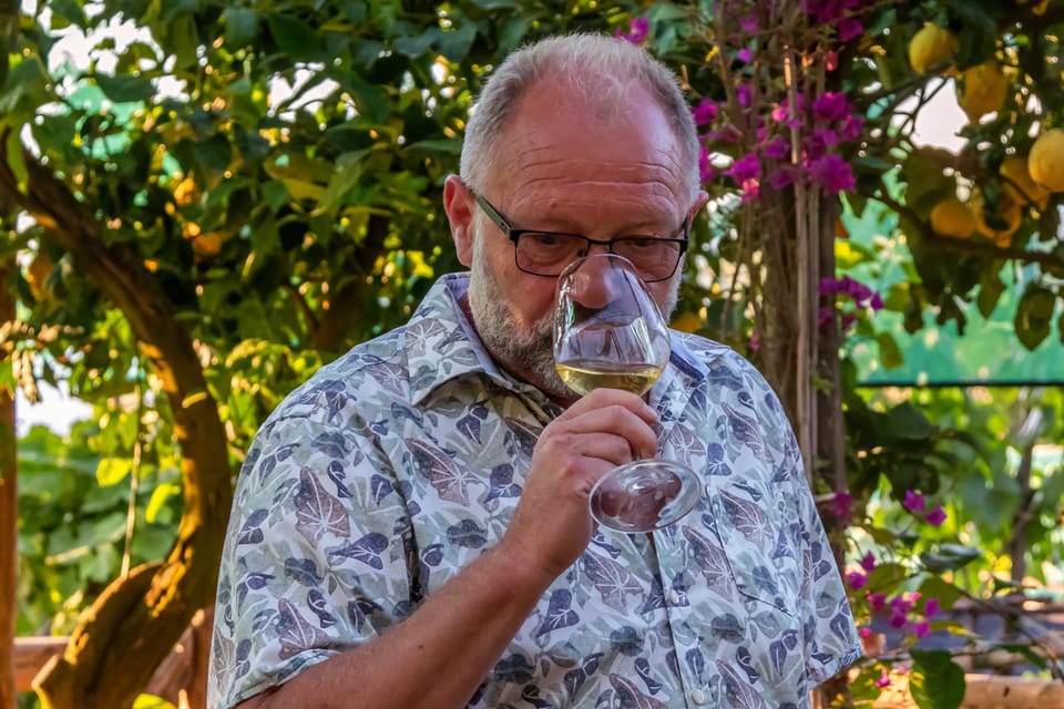 Sorrento: Wine Tasting Overlooking the Sea in a Lemon Grove - Small group, better conversation: up to 10 people