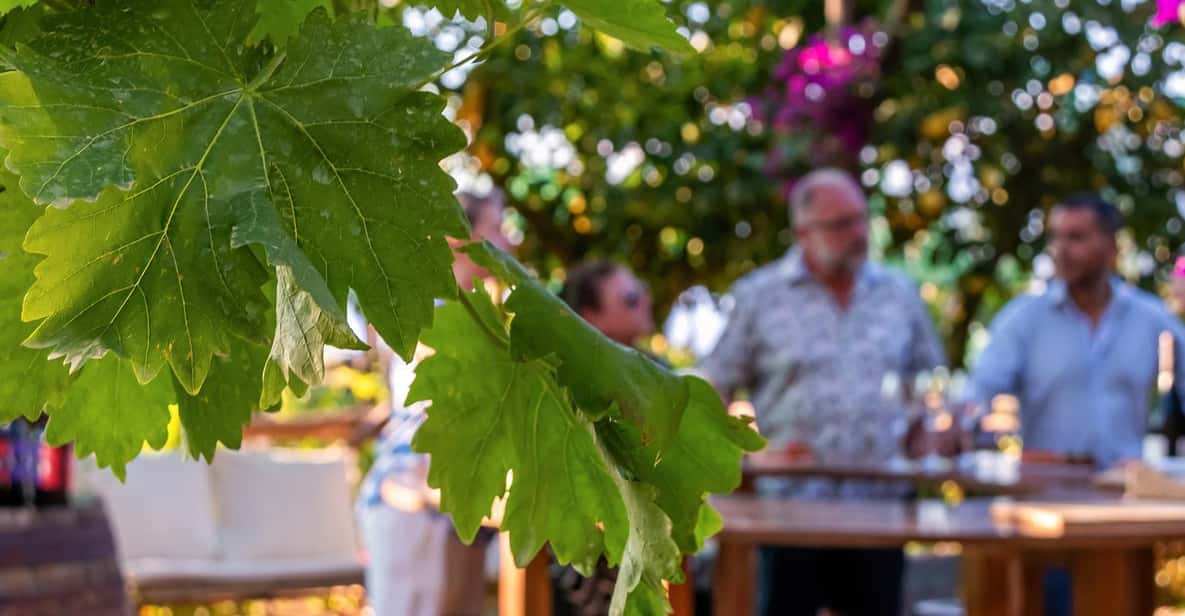 Sorrento: Wine Tasting Overlooking the Sea in a Lemon Grove - The 1.5-hour format: enough time to learn, not enough to get bored