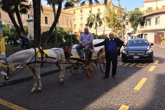 Splendida giornata con noi in costiera Amalfitana e dintorni - The Driver and Timing: Why This Trip Feels Easy
