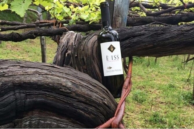 Tenuta San Francesco Wine Tasting - Key things that make Tenuta San Francesco worth your time