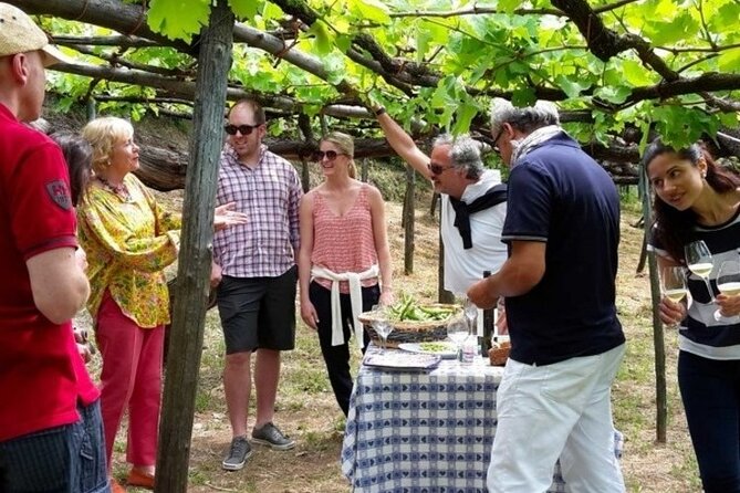 Tenuta San Francesco Wine Tasting - Hosts, pace, and what the 2-hour format really means