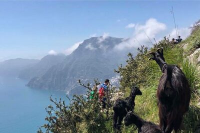 The Path of The Gods Private Guided Hike with Transfer - Pickup and Transfer: The Fastest Way to Start Right