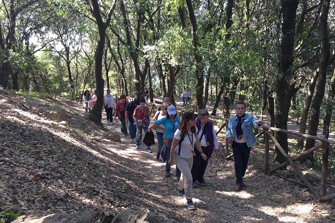 Tour in the ruins of Cuma with an archaeologist. - Booking Smart: When You’ll Want to Lock In Your Date