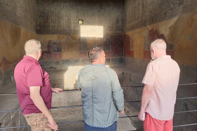 Tour of Pompeii & Amalfi Coast with Skip the Line & Pick Up from Naples Port - Private Minivan Comfort on a Long Day