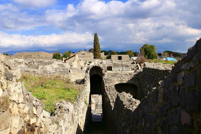 Tour of Pompeii for families with Transfer from Naples & Sorrento - What’s Included (and What You’ll Want to Plan)