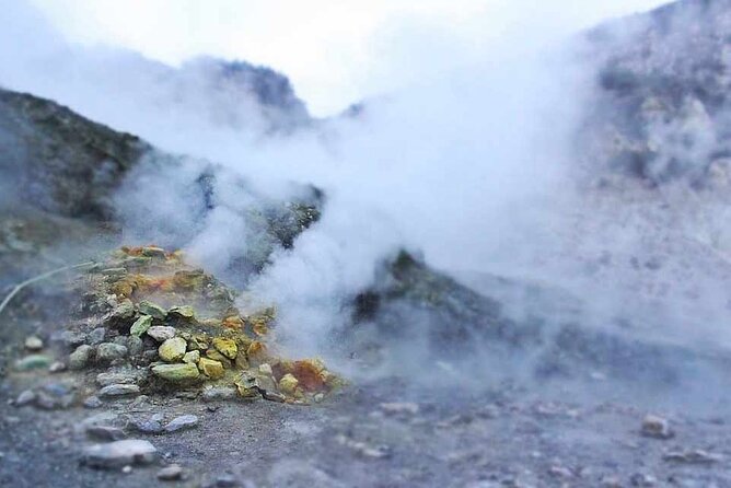 Tour privato a Pozzuoli Bacoli - Baia thermal park and the combined 7€ ticket