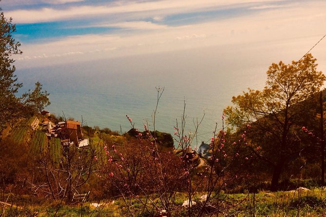 Trail of the gods with local guide Saveria Fiore "Ladybug" - Stop for a Shepherd’s Cabin Moment: Food, Rest, and a Local Taste