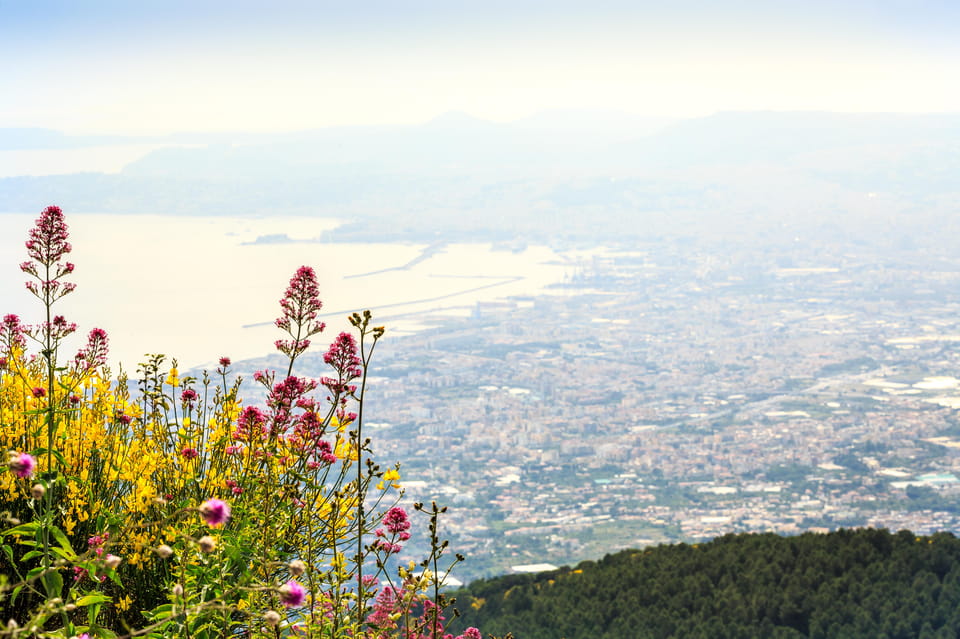 Vesuvio Skip The Line Ticket With Digital Audioguide - Key things to know before you go