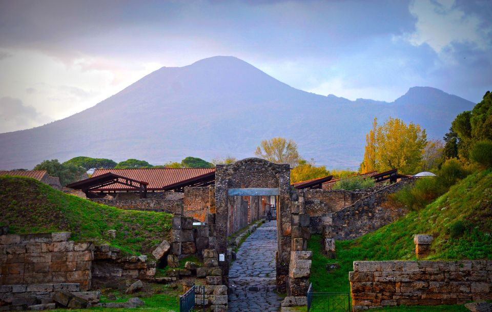 Vesuvius and Pompeii Transfer + Entrance for the Vesuvio - Trails and the naturalistic tour: what you’ll get at the entrance