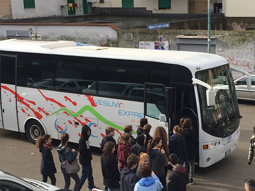 Vesuvius and Pompeii Transfer + Entrance for the Vesuvio - Who this day trip is best for (and who should skip it)