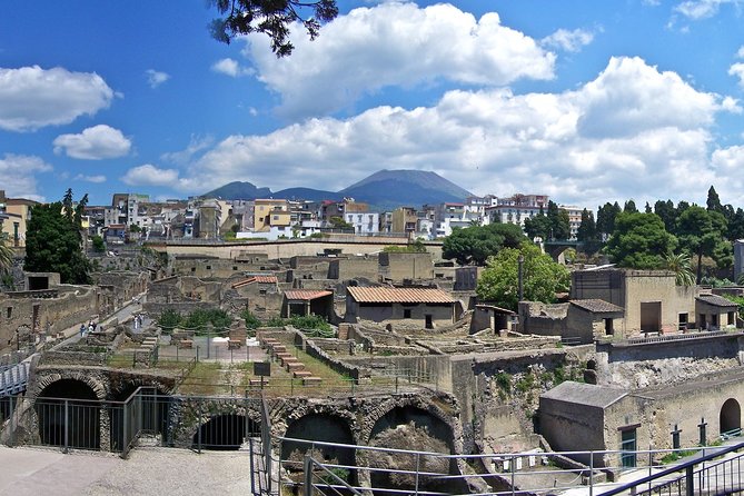 Vesuvius,Herculaneum,Pompeii from Naples or Sorrento - Price and value: what $246.68 really becomes on site