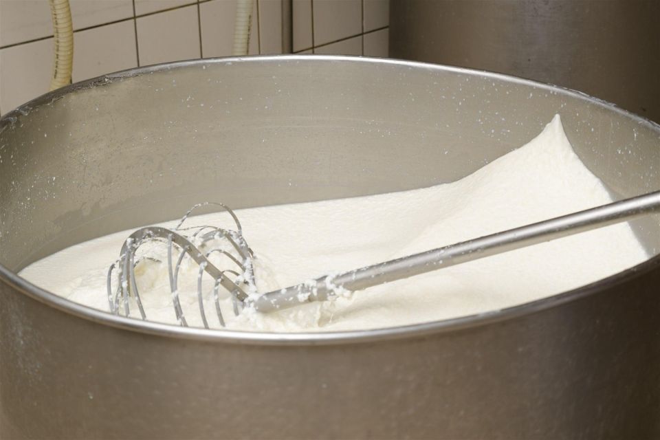 Vico Equense: Tour in the dairy "Mozzarella Experience" - Key highlights worth planning around