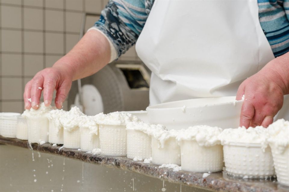 Vico Equense: Tour in the dairy "Mozzarella Experience" - Mozzarella Workshop in Vico Equense: real caseificio time, not a quick tasting