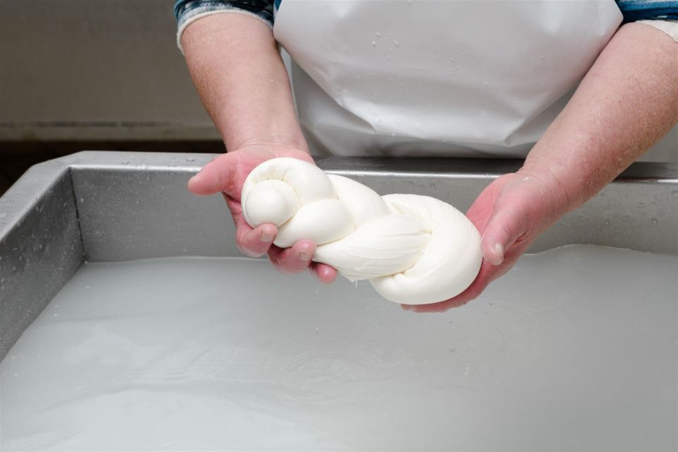 Vico Equense: Tour in the dairy "Mozzarella Experience" - How hands-on you’ll be with Antonio and Angela (and what to expect if you want action)