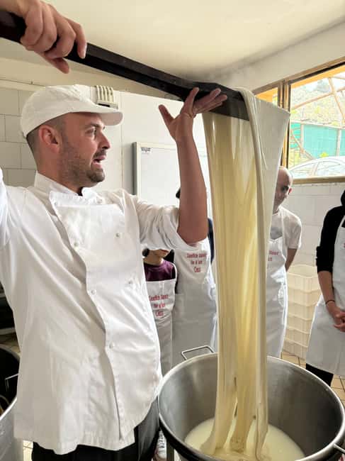 Vico Equense: Tour in the dairy "Mozzarella Experience" - From curd work to cheese you can actually taste: the Sorrento pergola finish