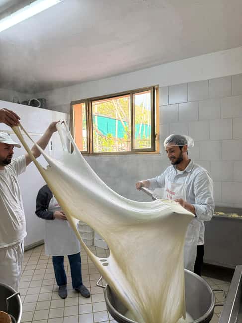 Vico Equense: Tour in the dairy "Mozzarella Experience" - Who should book this mozzarella experience (and who should skip it)
