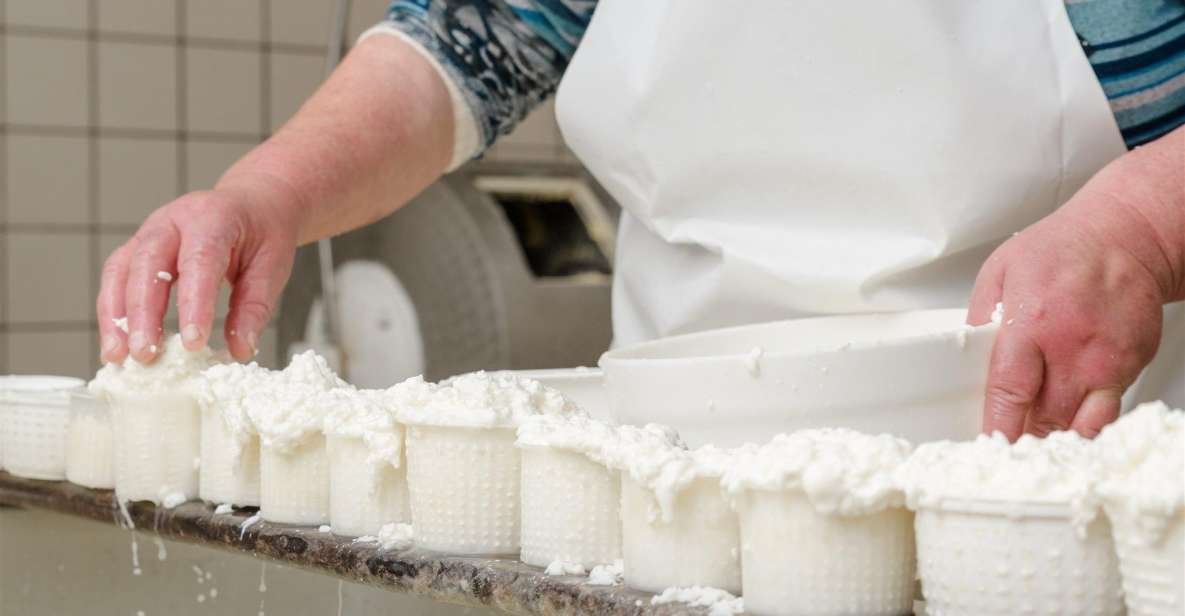Vico Equense: Tour in the dairy "Mozzarella Experience" - Practical tips so you enjoy every minute