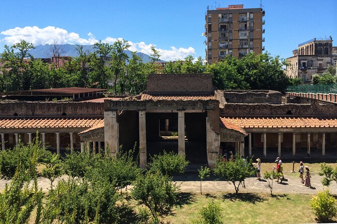 Villa Oplontis & Stabiae: discover the Hidden Treasures with your Archaeologist - Key things I’d watch for before you go