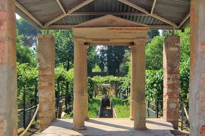 VIP Pompeii Tour including Newly Opened Houses With Archaeologist - The route through Pompeii’s public heart: Forum to the theaters