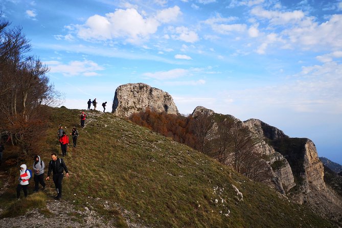 Walk around Faito Mountain, the Highest Point of the Amalfi Coast and Sorrento Peninsula - Returning through long-lived beech: the calm ending that matters