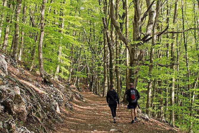 Walk around Faito Mountain, the Highest Point of the Amalfi Coast and Sorrento Peninsula - Guides make the hike: Giovanni and Marco as proof
