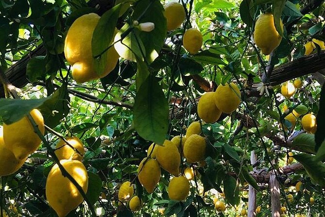 Walking tour from Minori to Maiori along the Path of the Lemons - Santuario Santa Maria a Mare: A Quiet Pause on the Route