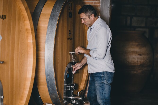 Wine Tasting and Winery Tour in Vesuvio National Park with Lunch - Key Highlights Worth Your Time