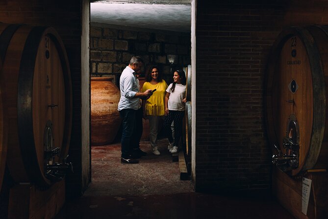 Wine Tasting and Winery Tour in Vesuvio National Park with Lunch - A Volcanic Wine Break Just Outside Pompeii