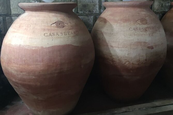 Wine Tasting and Winery Tour in Vesuvio National Park with Lunch - The Lacryma Christi Tasting: 4 Wines and 4 Neapolitan Dishes