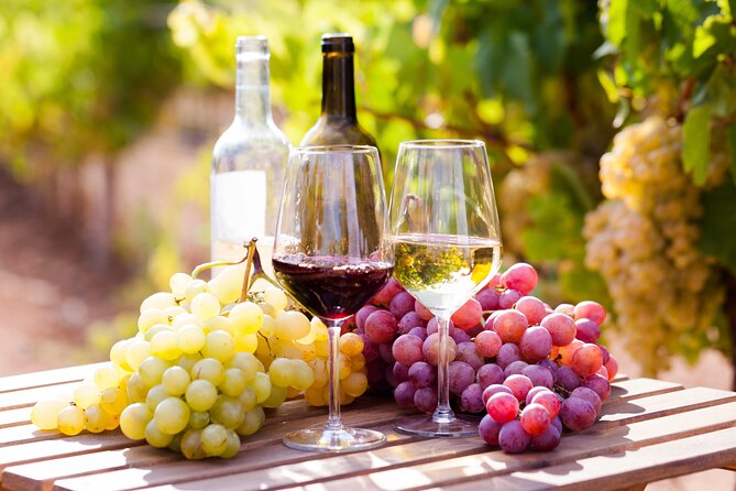 Wine tasting in the Vesuvius national park - Why a Vesuvius vineyard tasting works better than a quick stop
