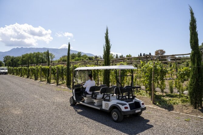 Wine Tasting Including Lunch - The Vineyard Tour on Protected National Park Land