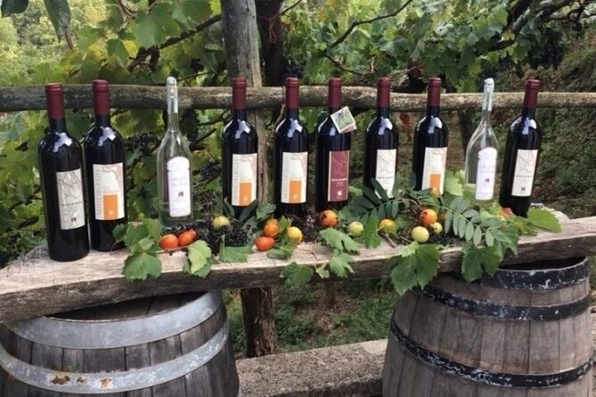 Wine Tour (lunch included) - The Tintore moment: why they focus on it