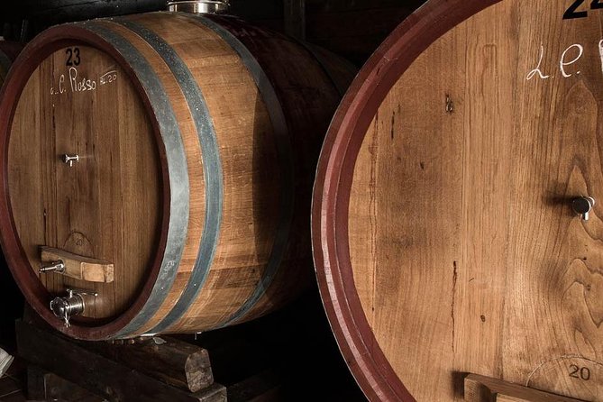 Wine Tour + Pompeii - Who This Tour Suits Best (And Who Should Think Twice)